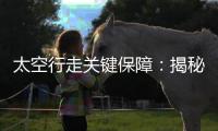 太空行走关键保障
：揭秘中国新型“飞天”舱外服