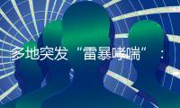 多地突发“雷暴哮喘”：半小时内发作，蒿属花粉或为元凶