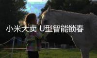 小米大卖 U型智能锁春天已来?