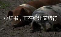 小红书，正在给出文旅行业增长新解答