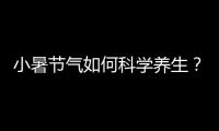 小暑节气如何科学养生？