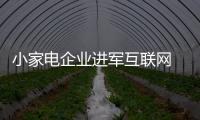 小家电企业进军互联网 需认清形势