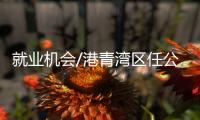 就业机会/港青湾区任公职　事业发展顺心