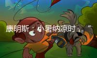 康明斯	：小暑纳凉时，“芯”静自然强