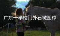 广东一学校门外石墩圆球加设钢管护栏，网友质疑多此一举�，学校回应�：是出于安全考虑�
，加装为防车辆撞击