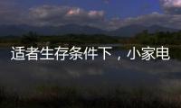适者生存条件下，小家电品牌从细节入手控成本