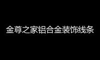 金尊之家铝合金装饰线条你怎么这么好看