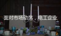 面对市场动荡
，电工企业要适应环境变化