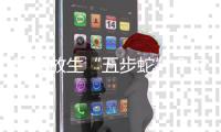 随意放生“五步蛇”
？被毒蛇咬伤，这一动作能“保命”