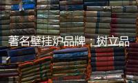著名壁挂炉品牌
：树立品牌形象 建立服务体系