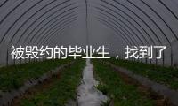 被毁约的毕业生�，找到了更好的工作丨记者手记