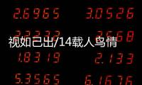 视如己出/14载人鸟情未了 驯养师守护天鹅成长