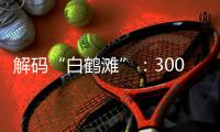 解码“白鹤滩”：300米级大坝无一毫米级温度裂缝
