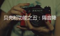 贝壳粉功能之五：隔音降噪