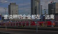 谁说照明企业都在“逃离”新三板 12月不是又有一波吗?