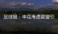足球报	：申花考虑夏窗引进外援前锋，米内罗已基本赛季报销