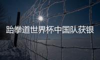 跆拳道世界杯中国队获银牌