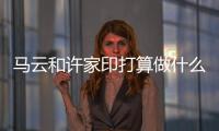 马云和许家印打算做什么