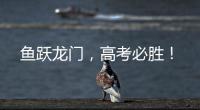 鱼跃龙门，高考必胜
！