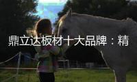 鼎立达板材十大品牌	：精品滑轨火热上市