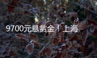 9700元悬赏金！上海老赖何敏躲4年，小区大爷：她爱点三分糖奶茶