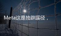 Meta这是独辟蹊径，还是病急乱投医	？