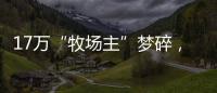 17万“牧场主”梦碎	，养羊理财平台众牧宝被查