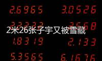 2米26张子宇又被雪藏了？宫鲁鸣不愿泄露战术：却可能坑了张子宇
