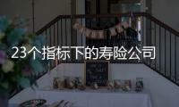 23个指标下的寿险公司画像比拼：哪家综合实力居末席？哪家赔付更快�？｜透视金融业年报⓽