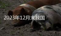 2023年12月末我国外汇储备为32380亿美元