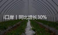 i口岸丨同比增长30%！“五一”假期首日	，港珠澳大桥通关火爆