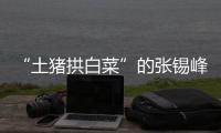 “土猪拱白菜”的张锡峰：浙大毕业却两手空空，被南科大老师调侃