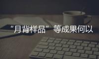 “月背样品”等成果何以入选�？专家解读“中国科学十大进展”