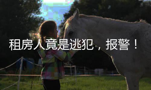 租房租房事宜商定后