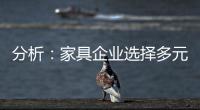分析
：家具企业选择多元化发展还是专业化道路?