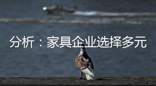 它们在专一领域做到了极致