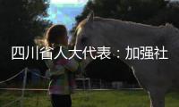 四川省人大代表	
：加强社科优秀成果奖励 助推四川社科强省建设