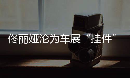 挂件让人心疼得不行
