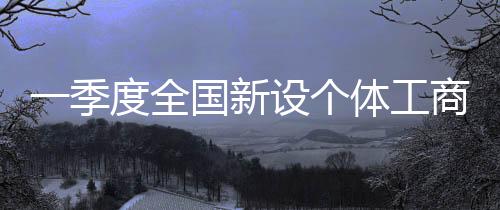 个体工商2023年一季度