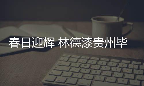 达到事半功倍的漆贵效果