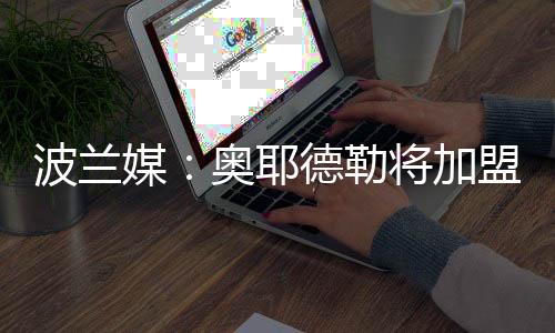 可以踢防守型中场和中卫