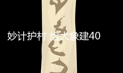 周边一直活动着野象群