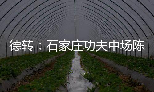 庄功哲宣自由德转更新