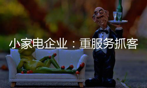 小家电品牌综合竞争力不强
