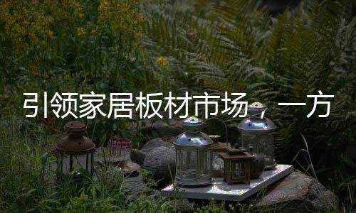 引领圆满引领家居板材市场