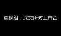 巡视组：深交所对上市企监管不力
