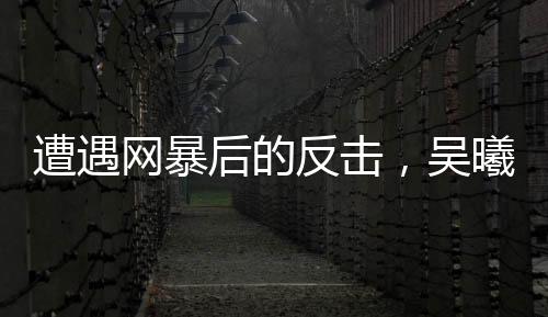 力挺而从吴曦到杨笑天