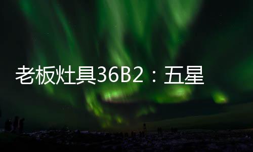 打造五星火燃烧系统