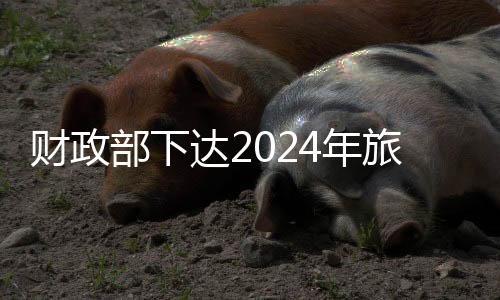 财政加强旅游宣传推广