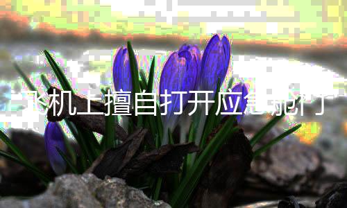 应主动与乘务员说明